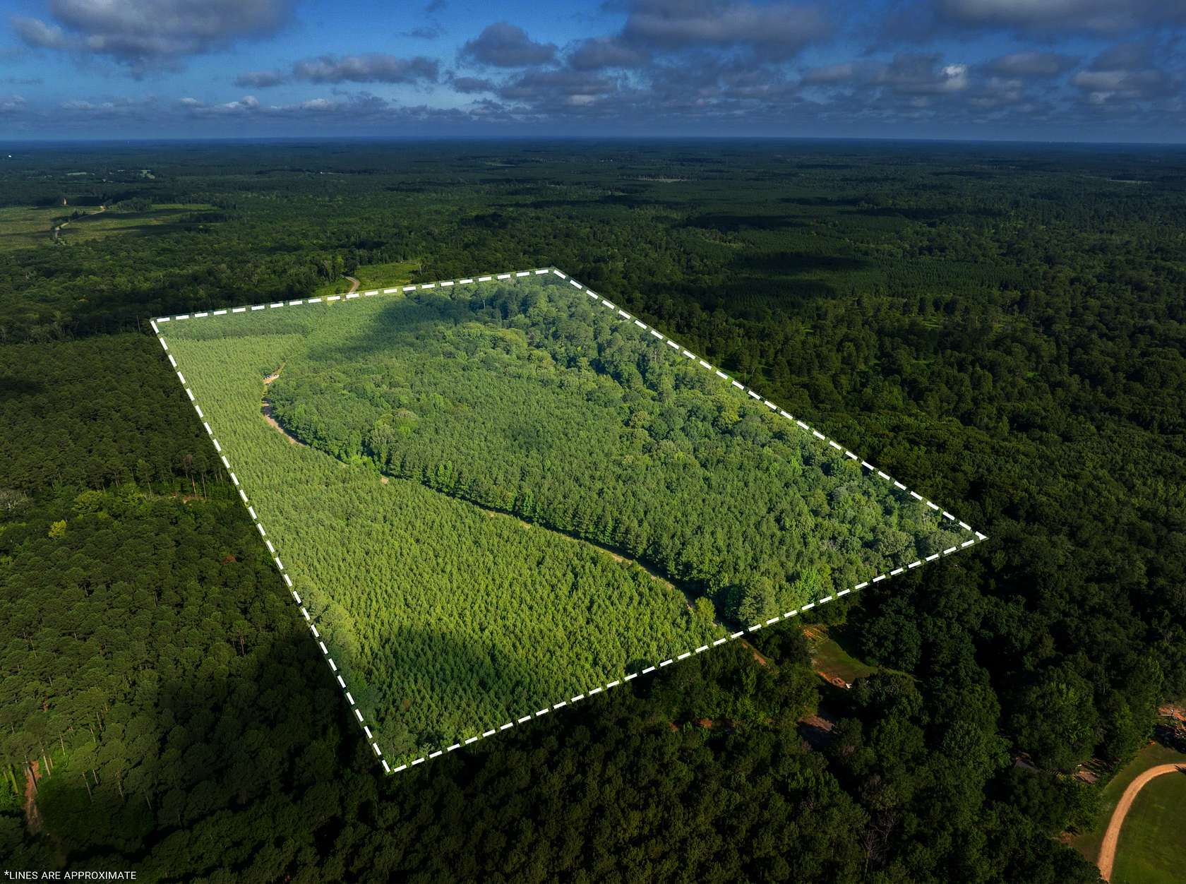 80 Acres of Land for Sale in Spearsville, Louisiana