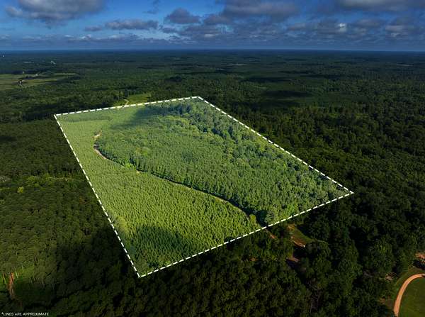 80 Acres of Land for Sale in Spearsville, Louisiana