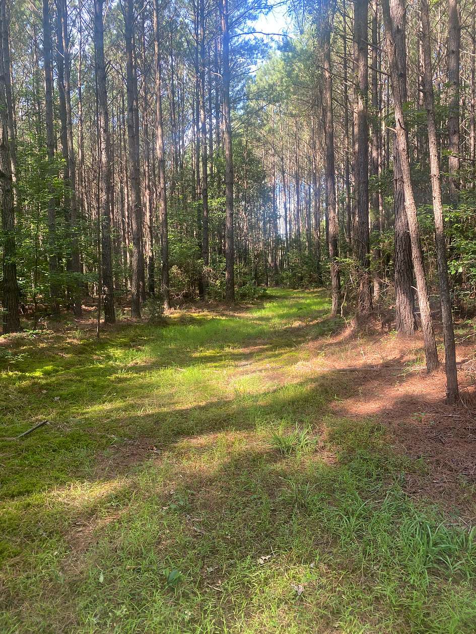 100 Acres of Recreational Land & Farm for Sale in Spearsville, Louisiana