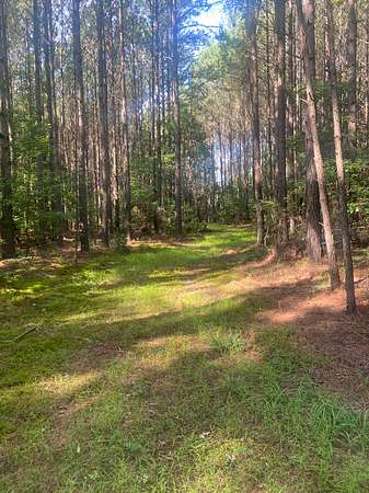 100 Acres of Land for Sale in Spearsville, Louisiana