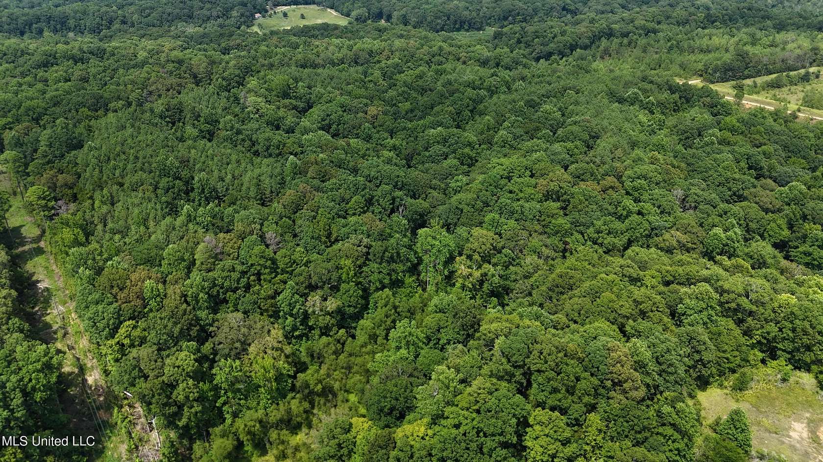 40 Acres of Recreational Land for Sale in Cruger, Mississippi