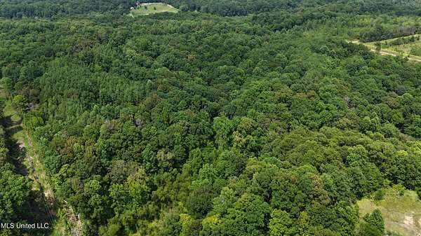 40 Acres of Recreational Land for Sale in Cruger, Mississippi