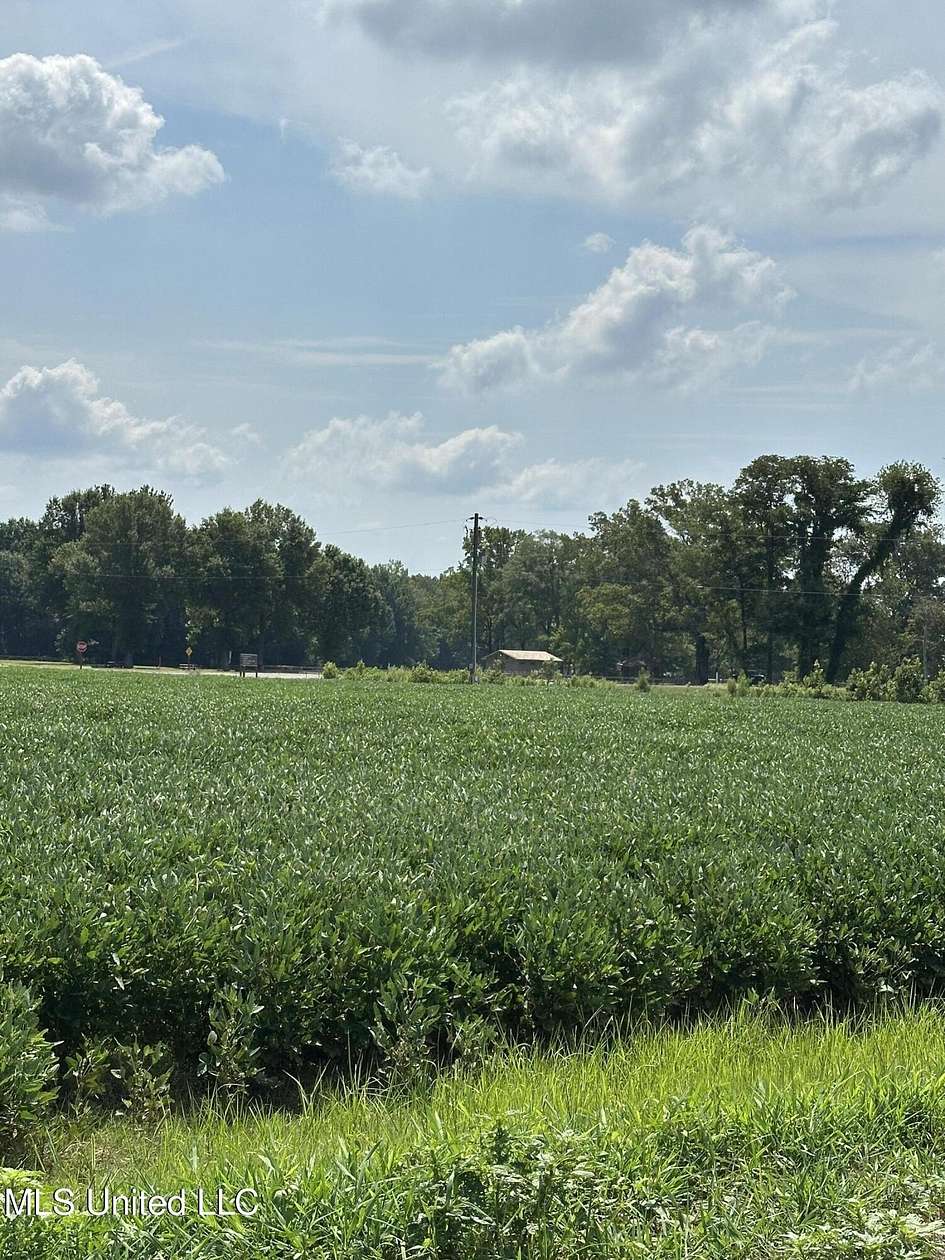 10 Acres of Agricultural Land for Sale in Hernando, Mississippi