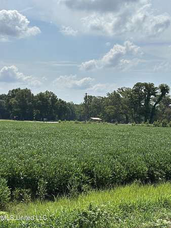 10 Acres of Agricultural Land for Sale in Hernando, Mississippi