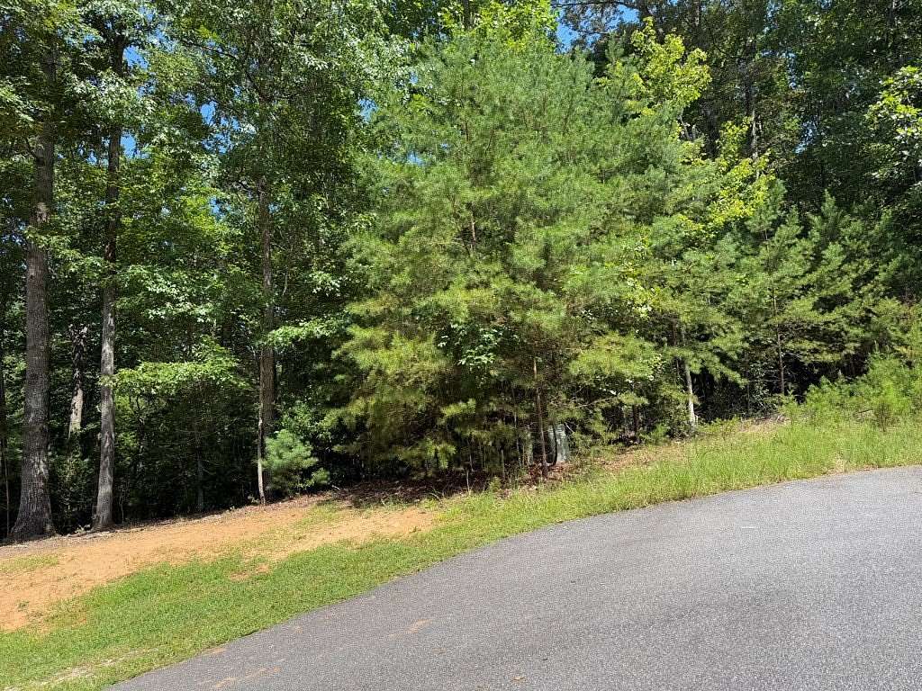 1 Acre of Residential Land for Sale in Young Harris, Georgia