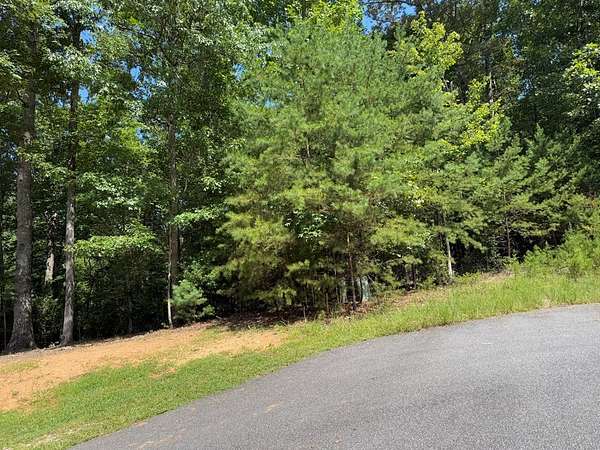 1 Acre of Residential Land for Sale in Young Harris, Georgia