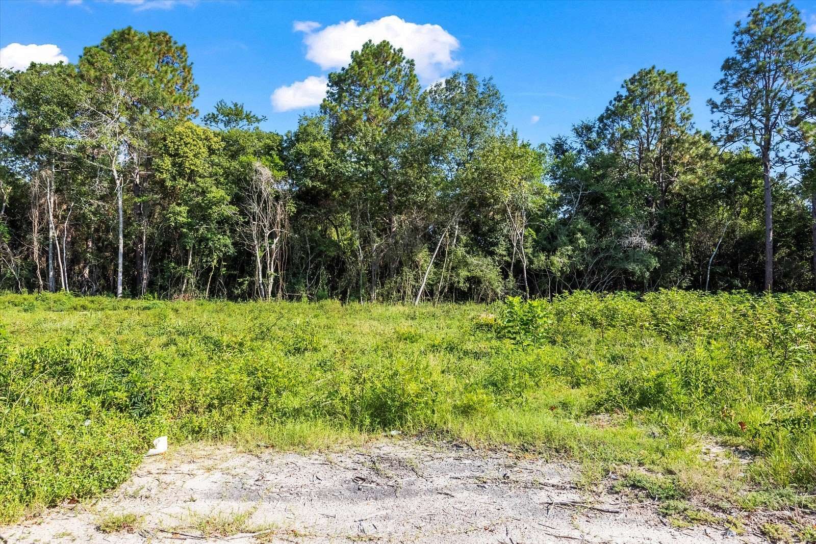 0.9 Acres of Land for Sale in New Ellenton, South Carolina