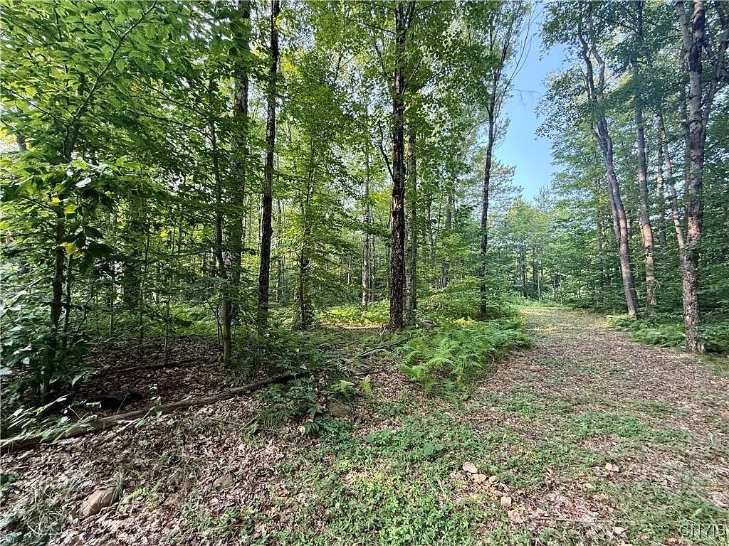 5.63 Acres of Land for Sale in Camden, New York