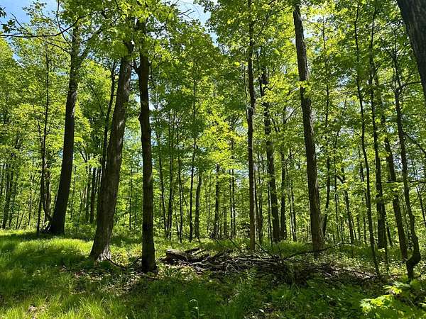 100 Acres of Recreational Land for Sale in Merrill, Wisconsin