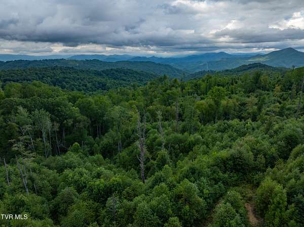 7 Acres of Residential Land for Sale in Roan Mountain, Tennessee