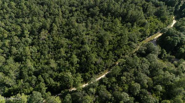 32.5 Acres of Land for Sale in Vancleave, Mississippi