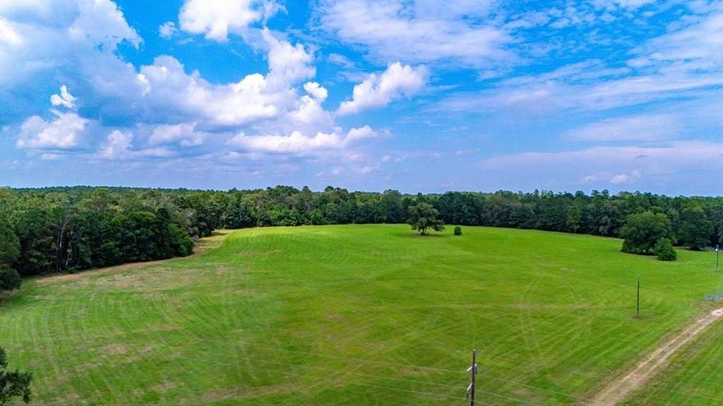 40 Acres of Land for Sale in San Augustine, Texas