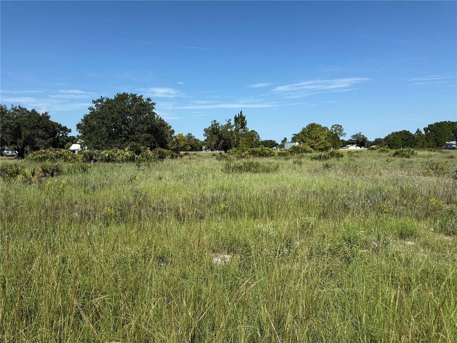 1 Acre of Residential Land for Sale in Avon Park, Florida