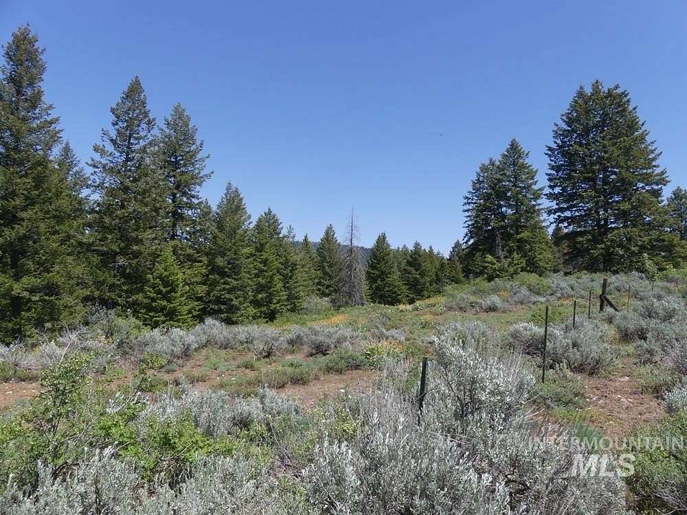 145 Acres of Recreational Land for Sale in Indian Valley, Idaho