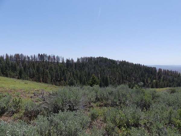 145 Acres of Recreational Land for Sale in Indian Valley, Idaho