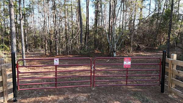 53 Acres of Recreational Land for Sale in Perkinston, Mississippi
