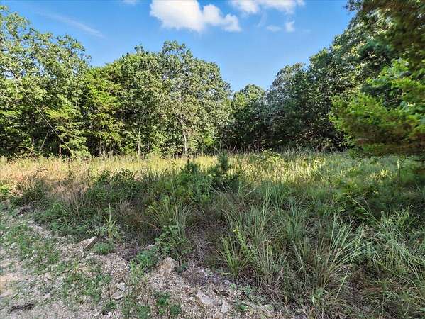 17.4 Acres of Recreational Land & Farm for Sale in Norwood, Missouri