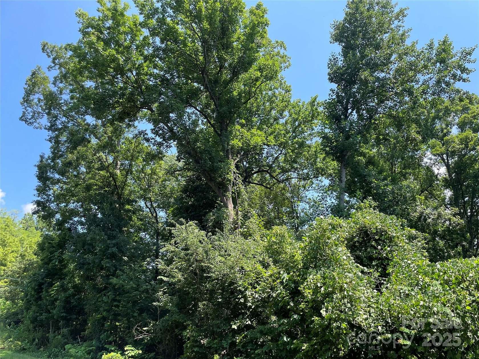 0.82 Acres of Land for Sale in China Grove, North Carolina