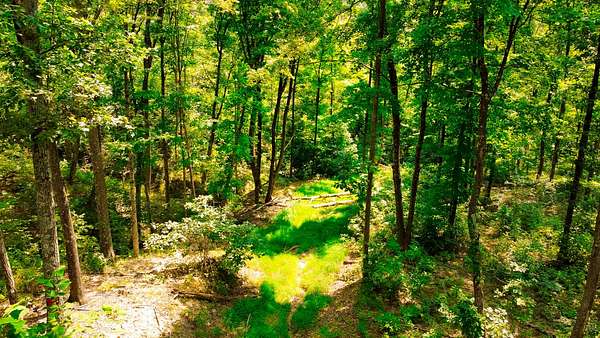 115 Acres of Recreational Land for Sale in Chillicothe, Ohio