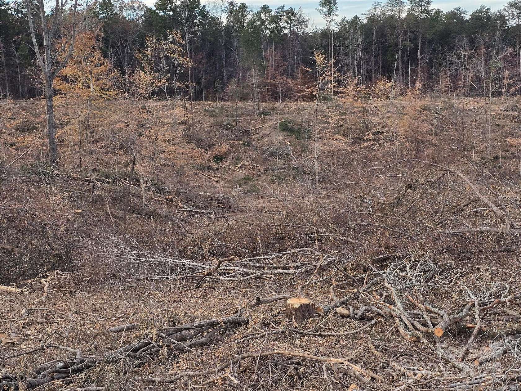 20 Acres of Recreational Land for Sale in Salisbury, North Carolina