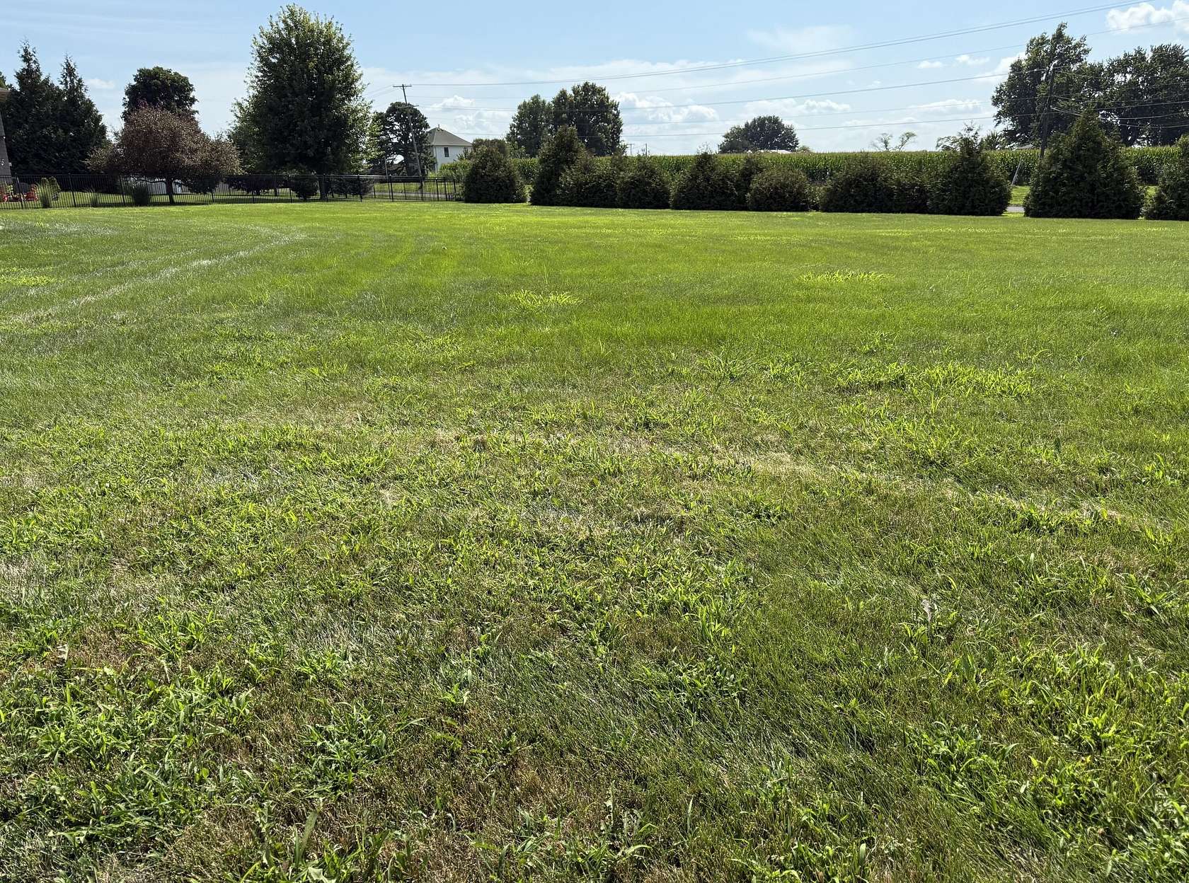 Residential Land for Sale in Marshall, Missouri