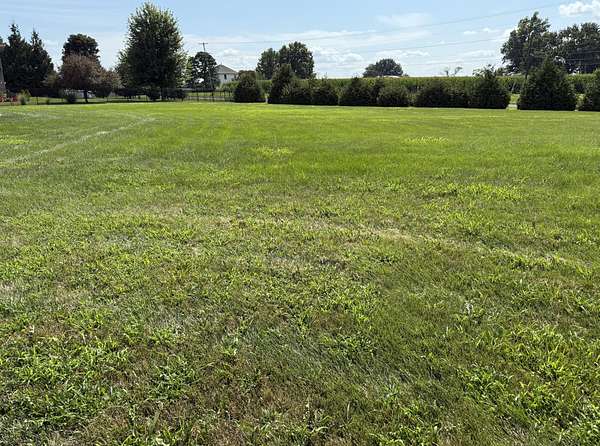 Residential Land for Sale in Marshall, Missouri