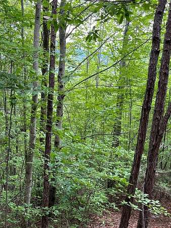 1 Acre of Residential Land for Sale in Murphy, North Carolina