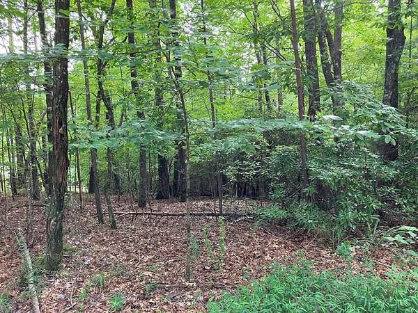 1.5 Acres of Residential Land for Sale in Murphy, North Carolina