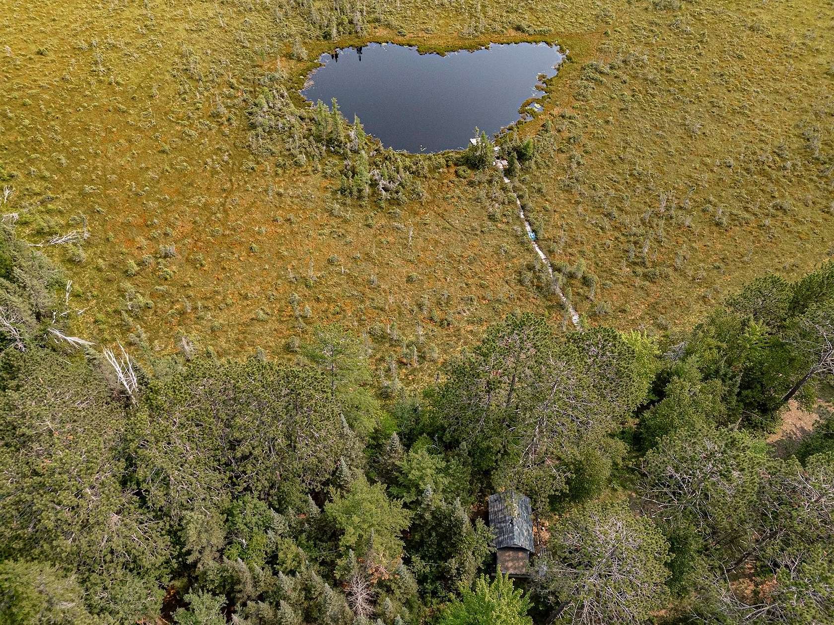 16.8 Acres of Recreational Land for Sale in Three Lakes, Wisconsin