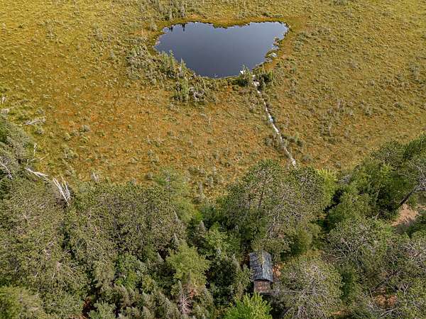 16.8 Acres of Recreational Land for Sale in Three Lakes, Wisconsin