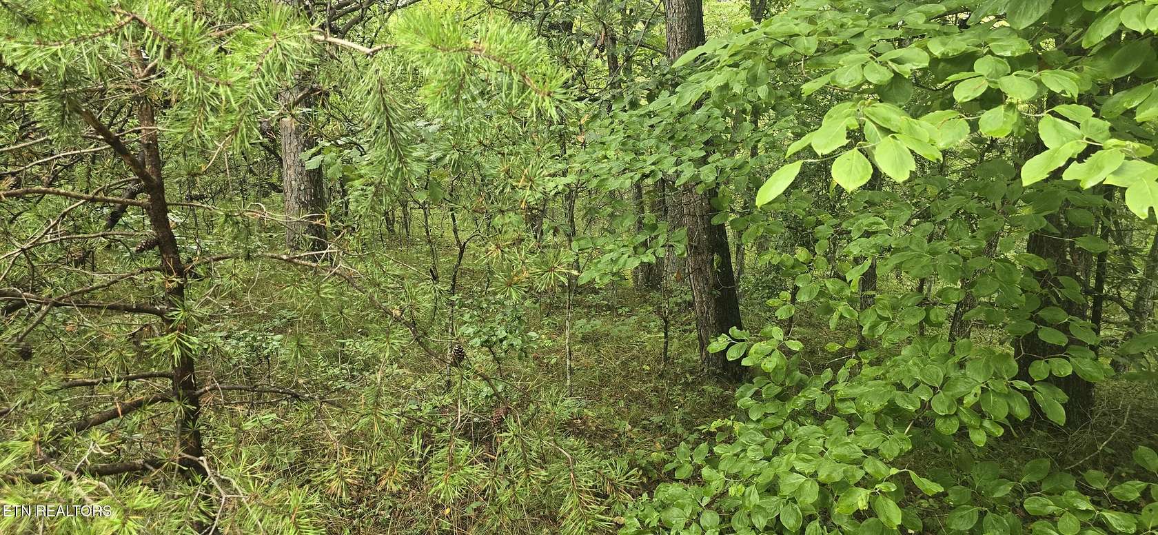 0.23 Acres of Residential Land for Sale in Crossville, Tennessee