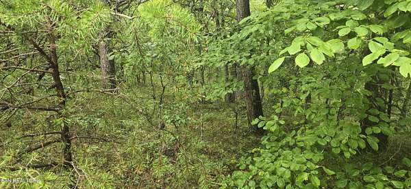 0.23 Acres of Residential Land for Sale in Crossville, Tennessee