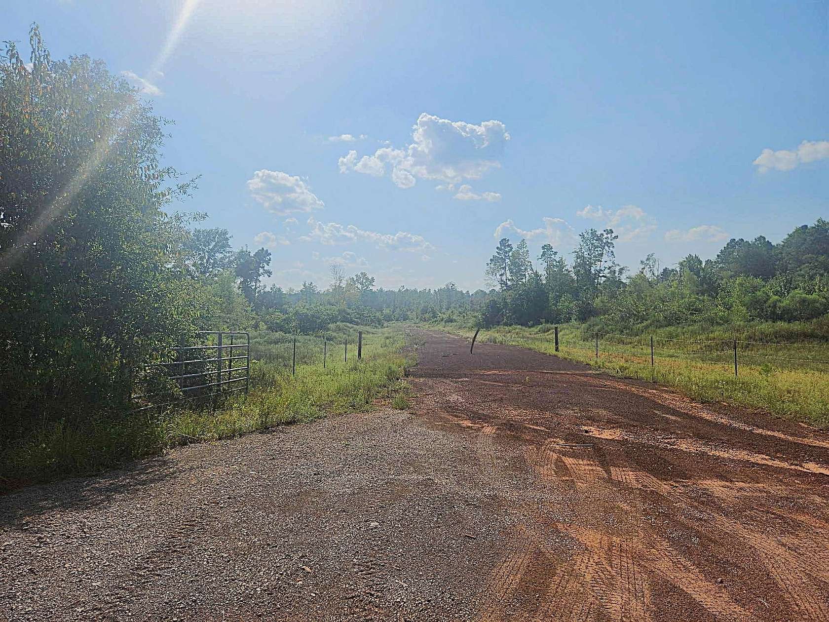 57.8 Acres of Recreational Land for Sale in Karnack, Texas