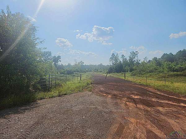 57.8 Acres of Recreational Land & Farm for Sale in Karnack, Texas