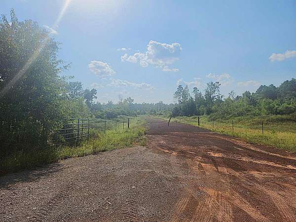 57.8 Acres of Recreational Land for Sale in Karnack, Texas