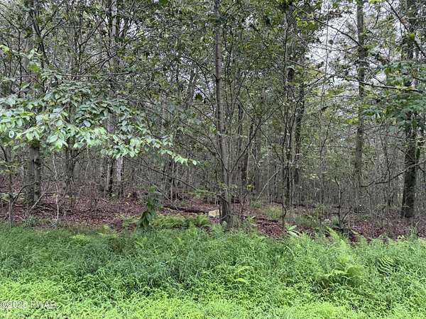 3.27 Acres of Residential Land for Sale in Newfoundland, Pennsylvania