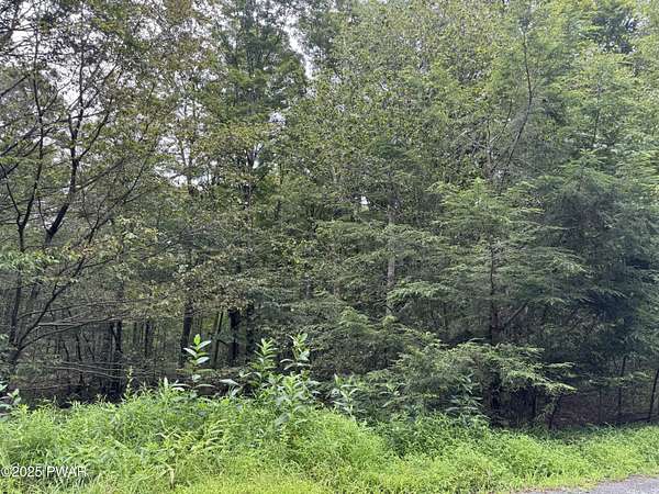 2.67 Acres of Residential Land for Sale in Newfoundland, Pennsylvania