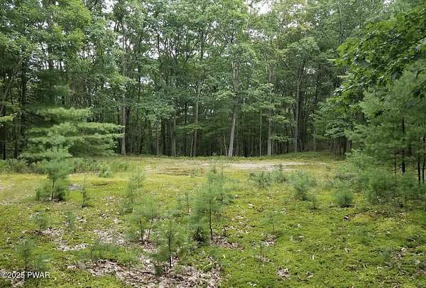 2.84 Acres of Residential Land for Sale in Hawley, Pennsylvania