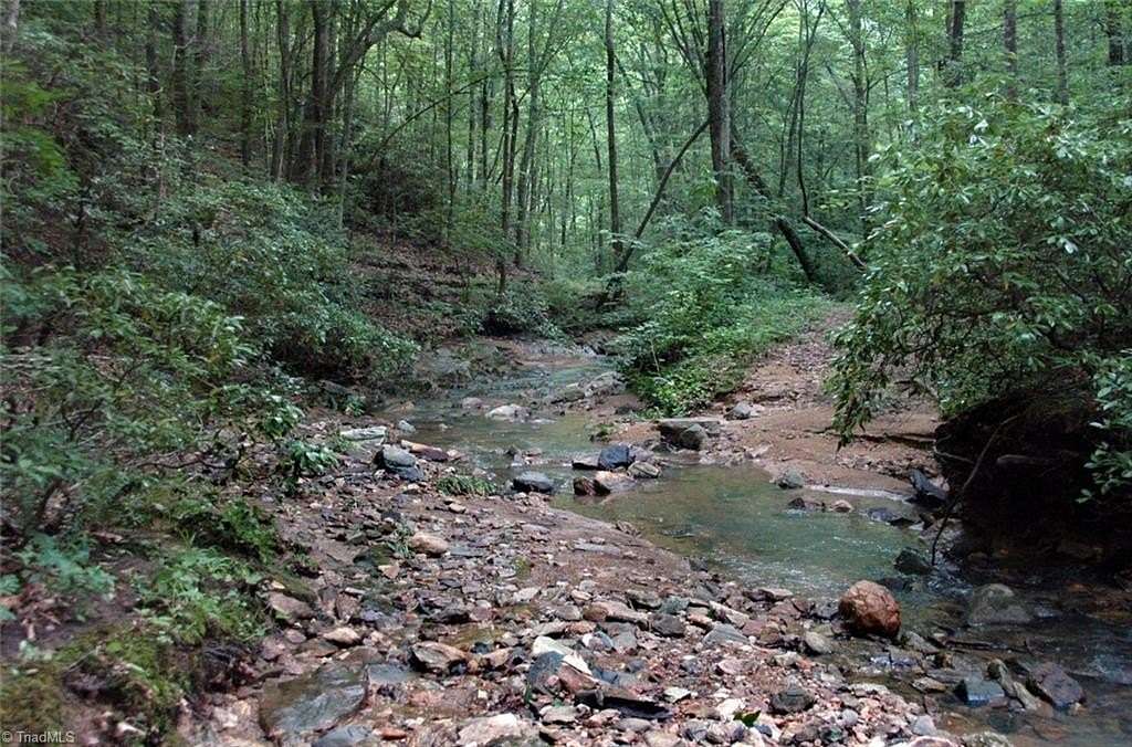 18.3 Acres of Land for Sale in Danbury, North Carolina