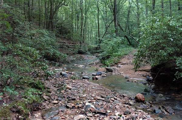18.3 Acres of Land for Sale in Danbury, North Carolina