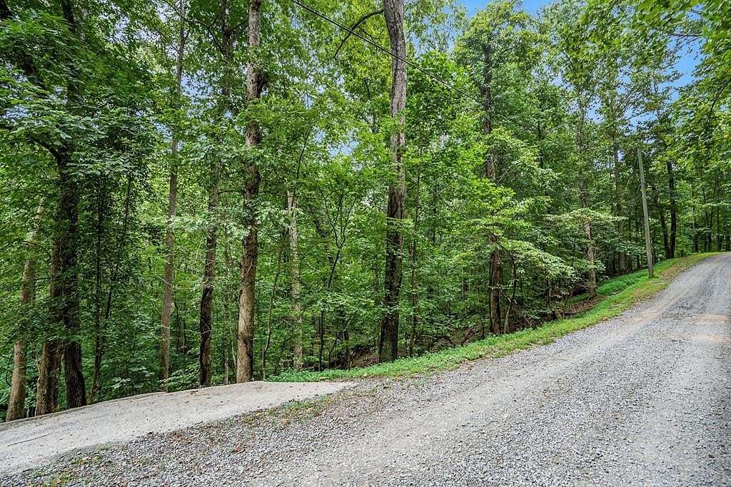 0.51 Acres of Land for Sale in Ellijay, Georgia