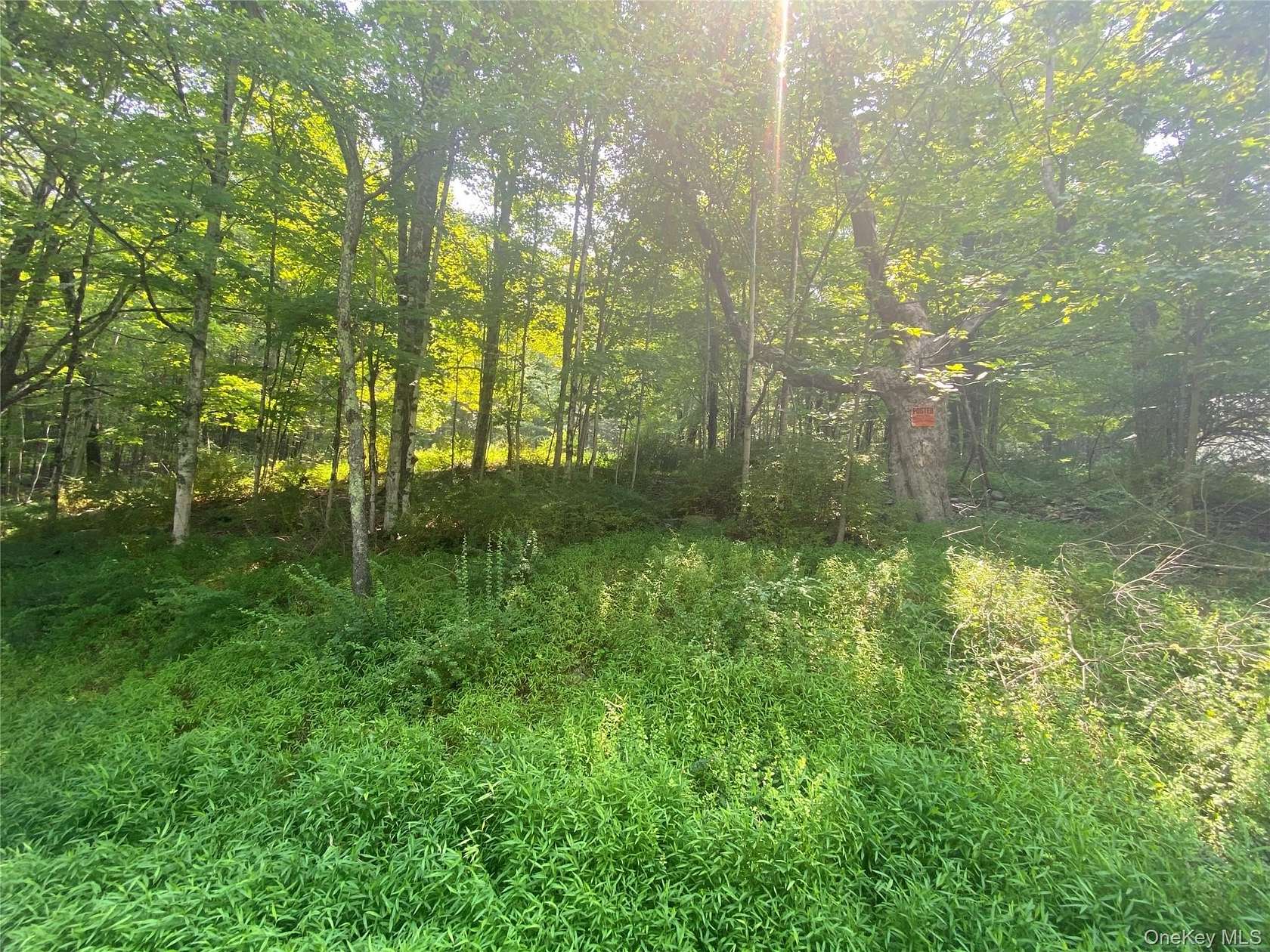 56.9 Acres of Recreational Land for Sale in Wurtsboro, New York