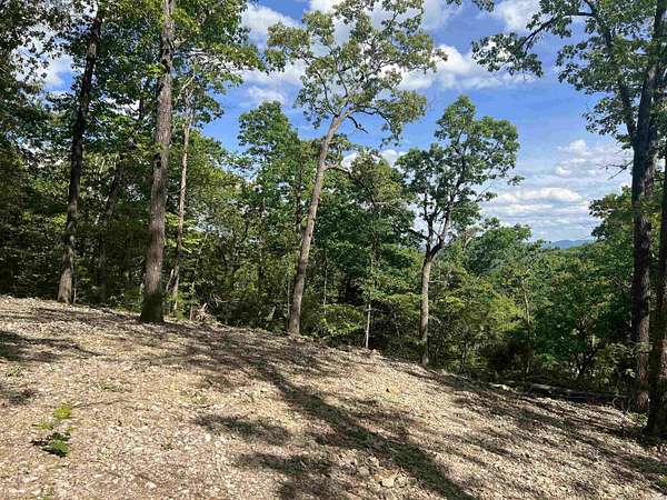 7.34 Acres of Land for Sale in Marble Falls Township, Arkansas