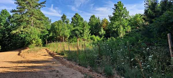 130 Acres of Agricultural Land for Sale in Lyles, Tennessee