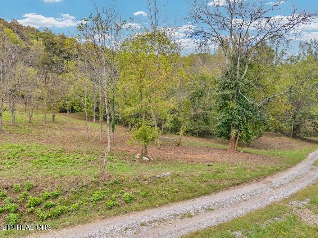 21 Acres of Agricultural & Residential Land for Sale in Buffalo Valley, Tennessee