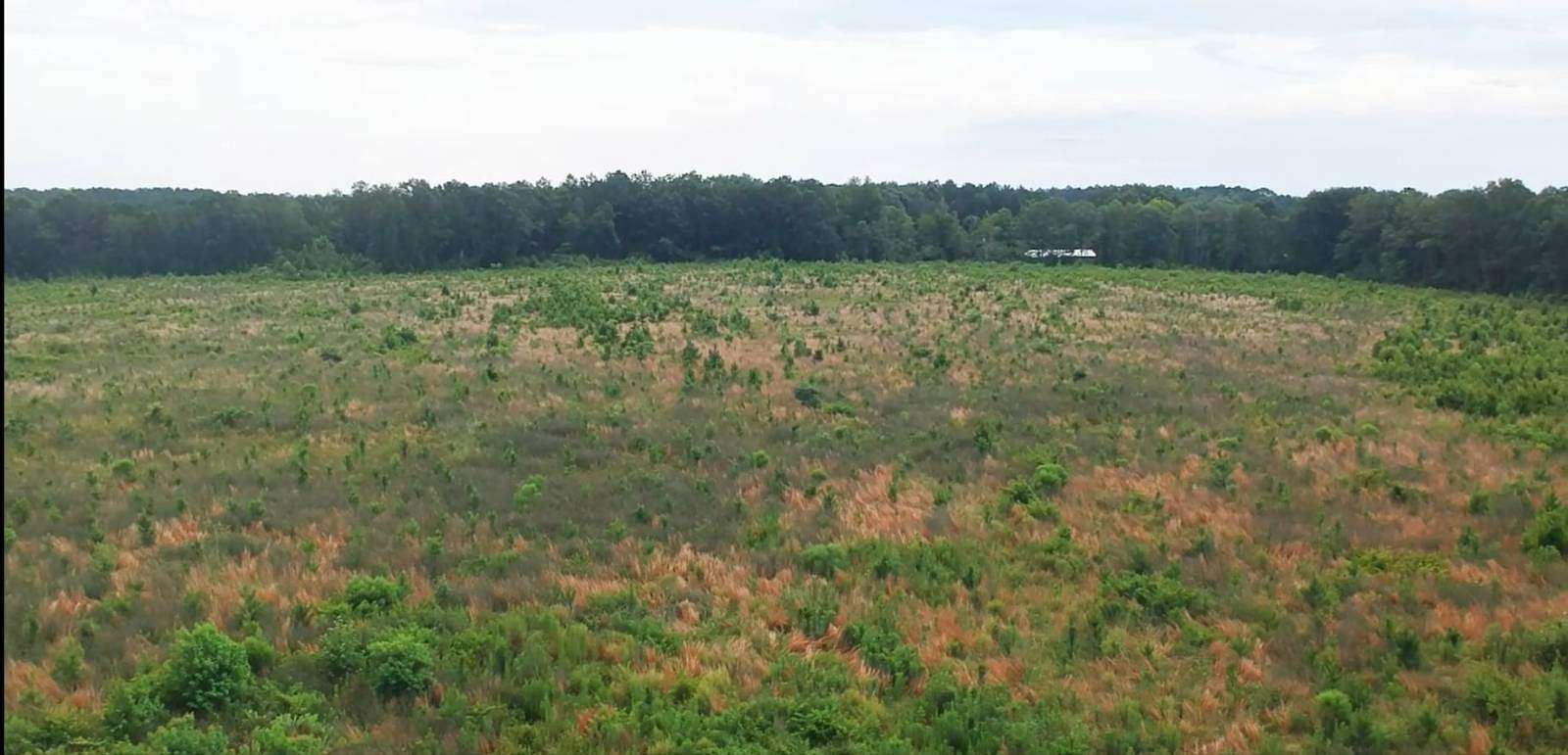 40 Acres of Land for Sale in Jayess, Mississippi