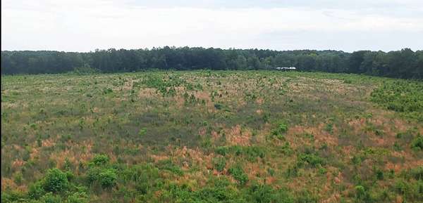 40 Acres of Land for Sale in Jayess, Mississippi