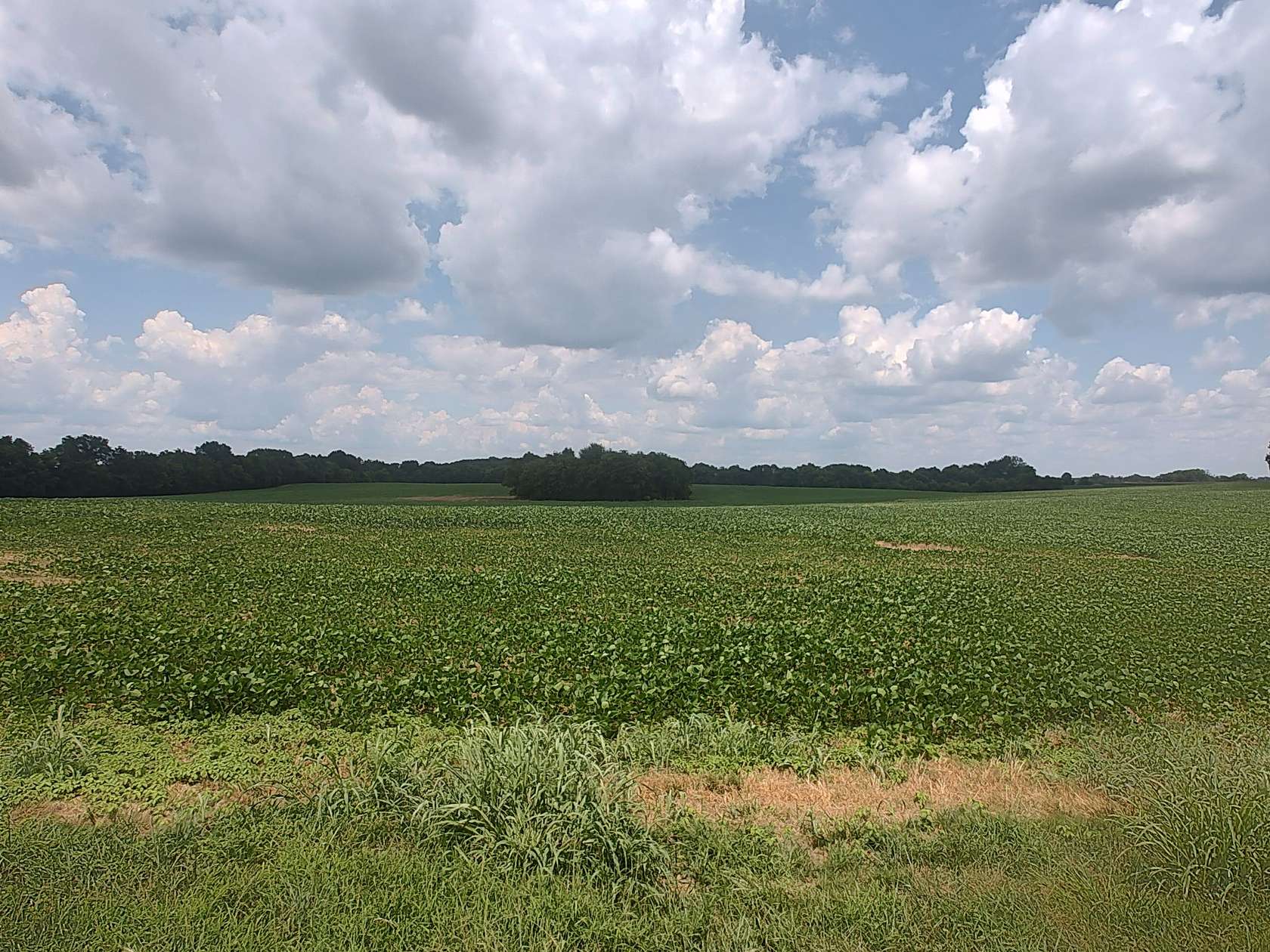 110 Acres of Agricultural Land for Sale in Cedar Hill, Tennessee