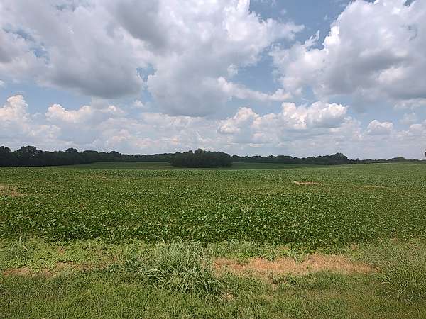 110 Acres of Agricultural Land for Sale in Cedar Hill, Tennessee