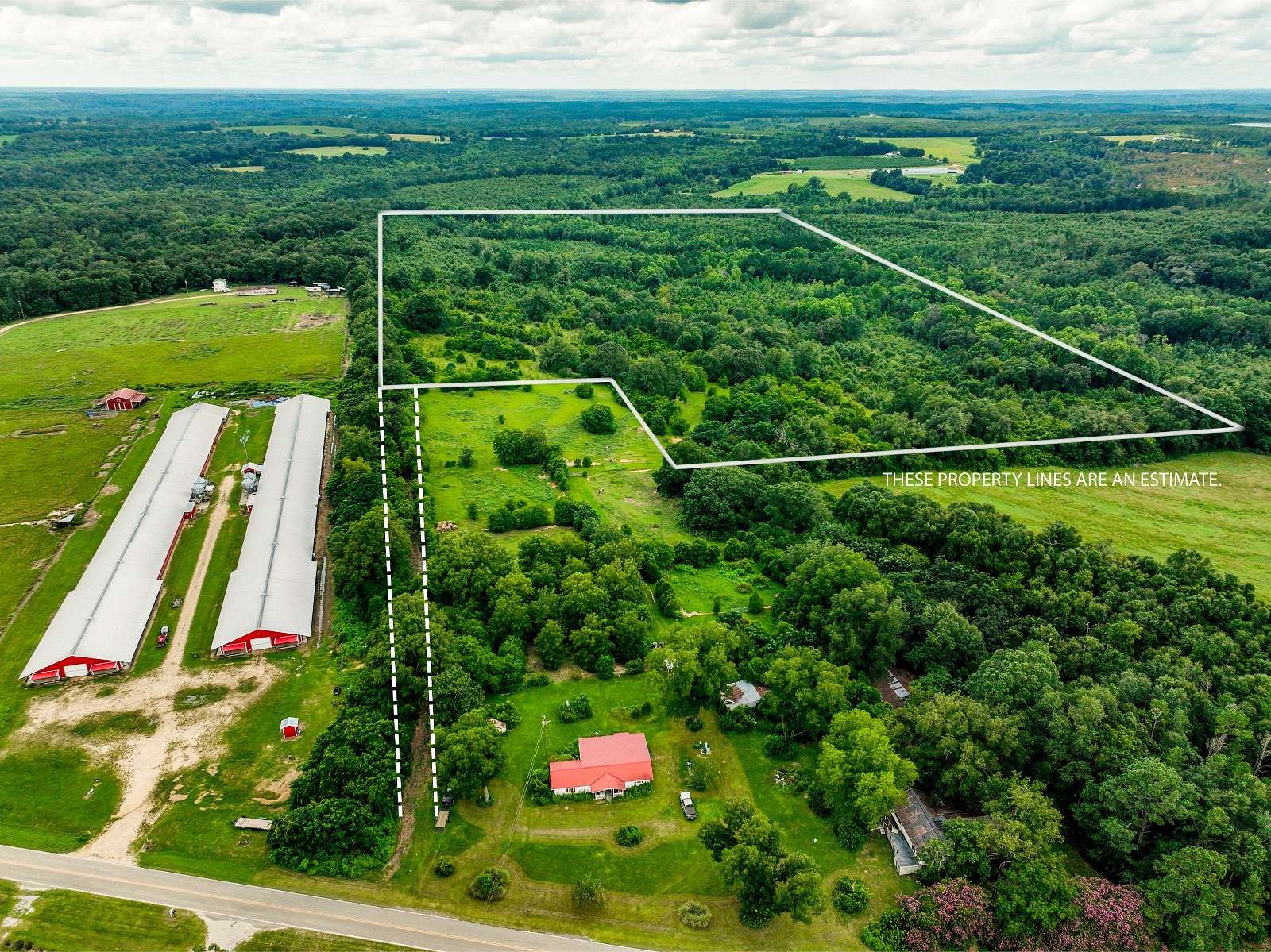 75 Acres of Land for Sale in Midland City, Alabama